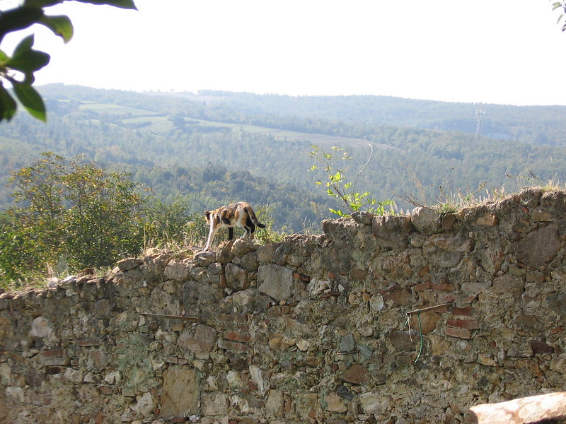 284602186_ef4030ab30_c