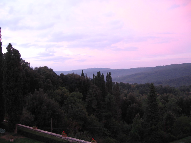 288534297_c5197d4d7c_c