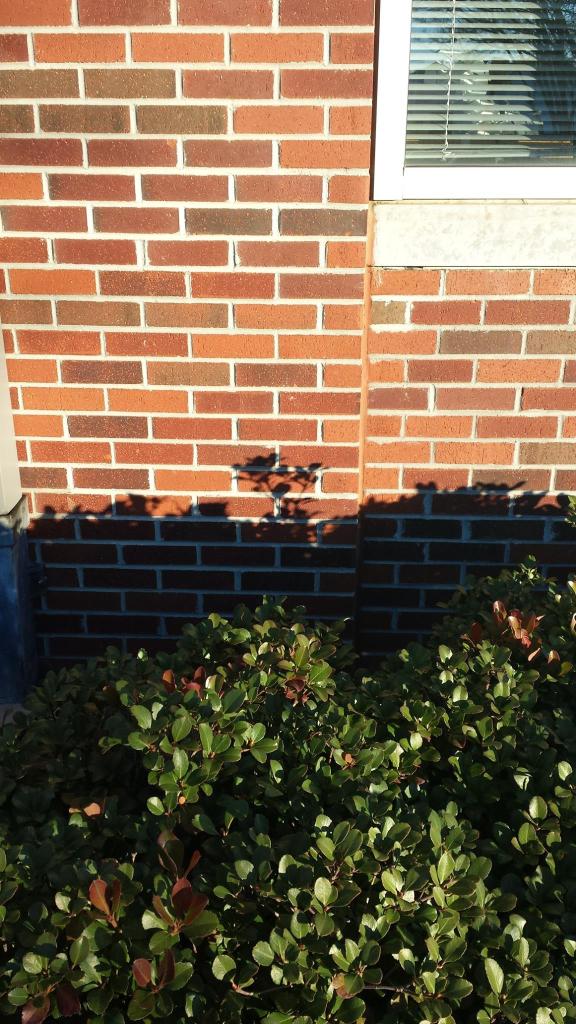 12369540_10206682478678470_1851162432_o