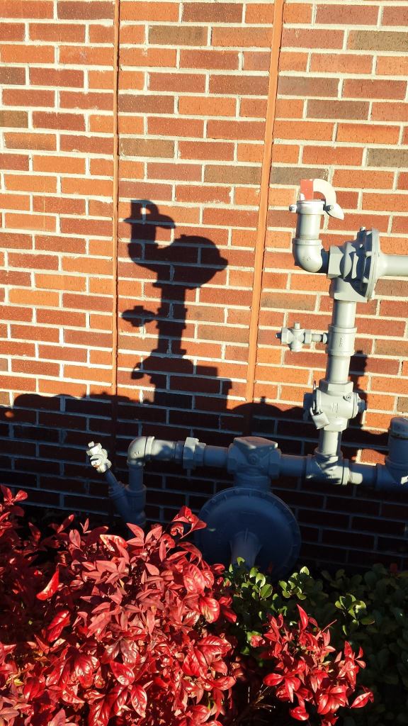 12394765_10206682478238459_1609878869_o