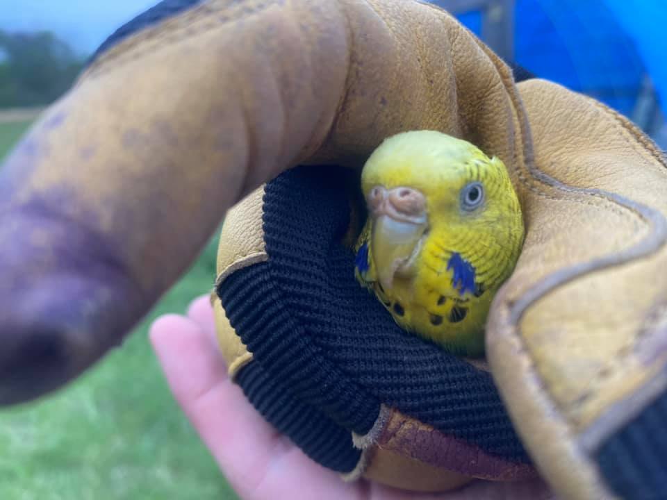 174055935_10224545212399188_6074383000534600523_n