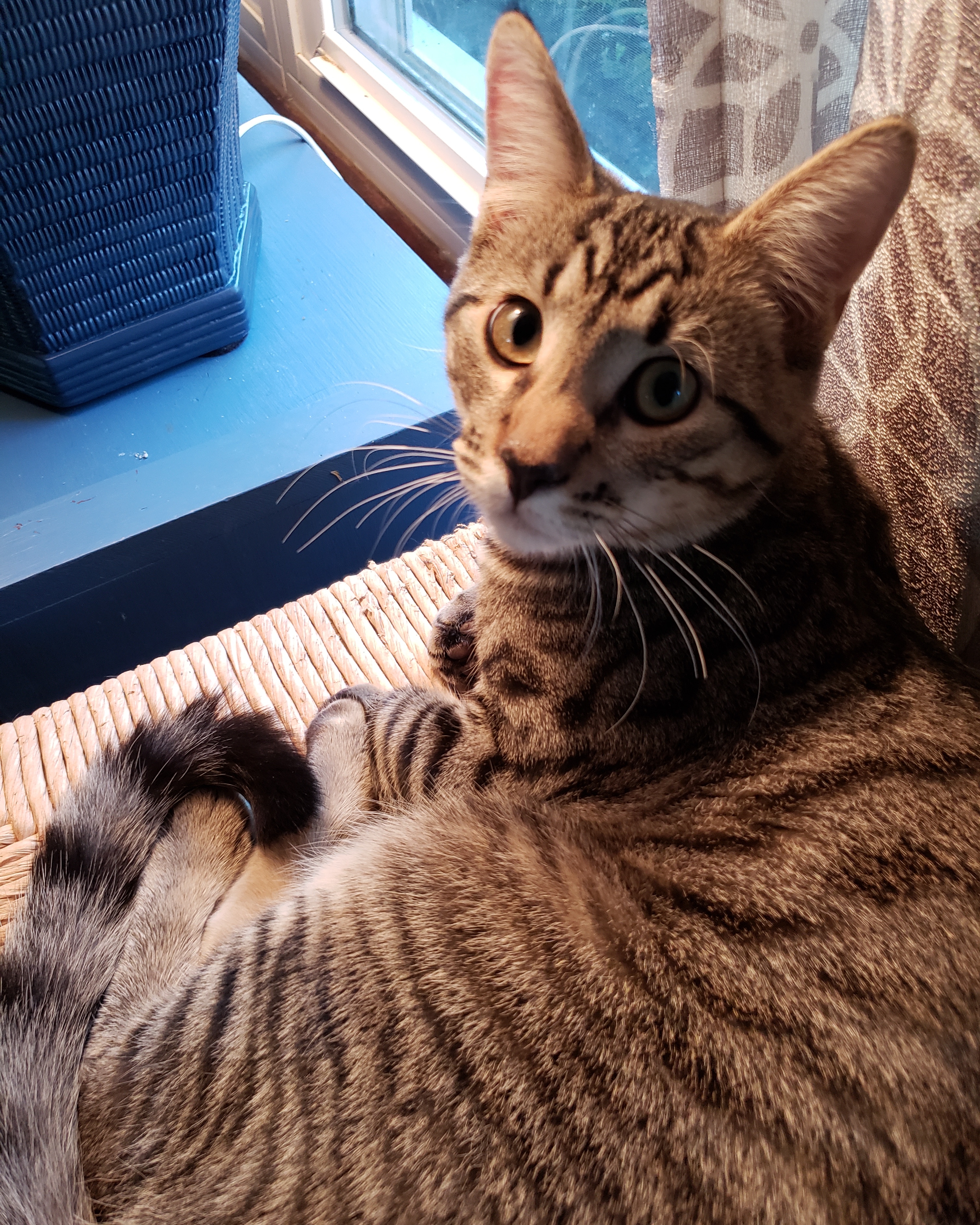 IMG_20211125_163227_387