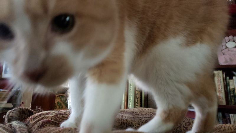 20220409_094211
