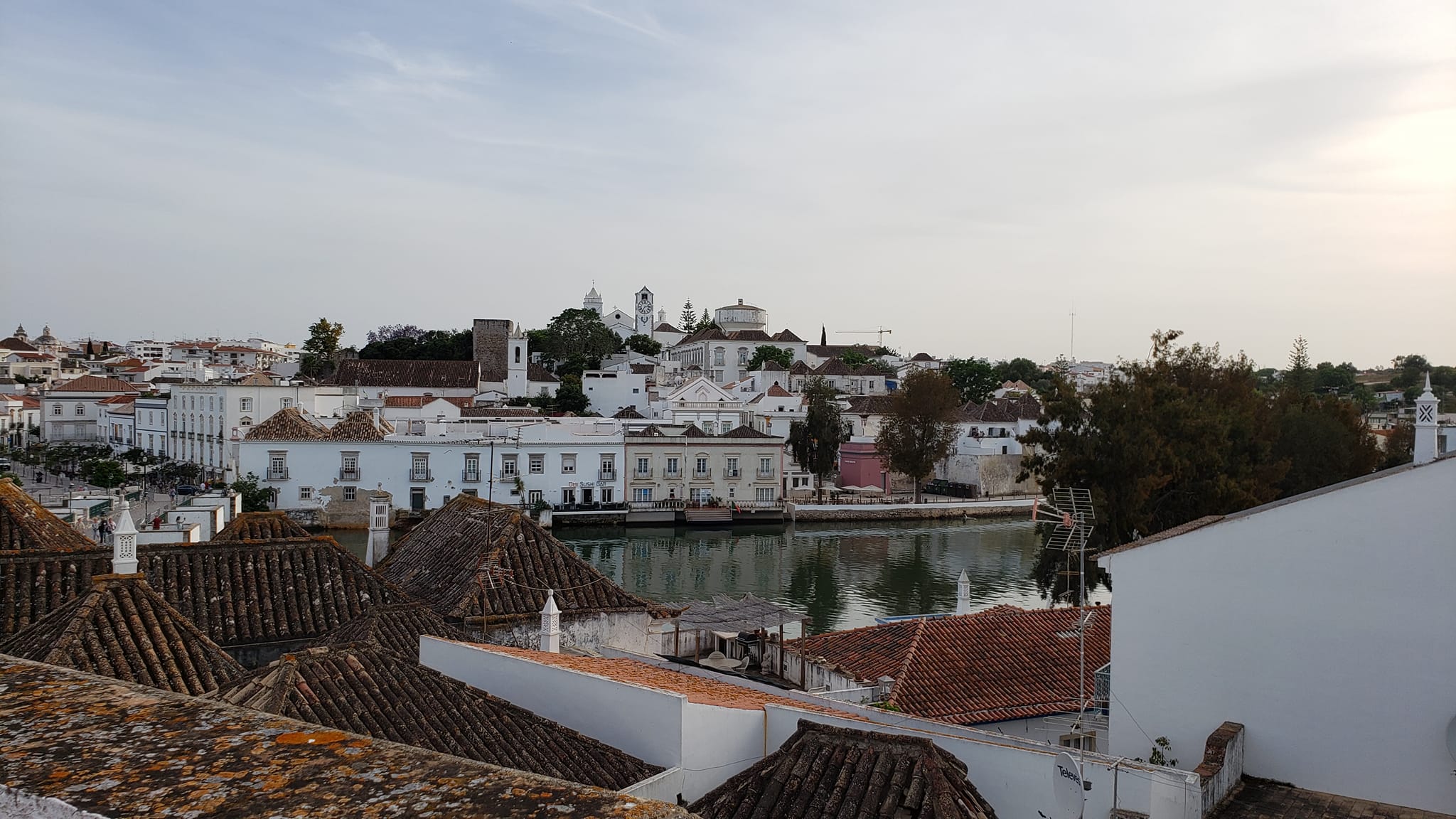 281655996_1544087019320495_5640681737351538619_n